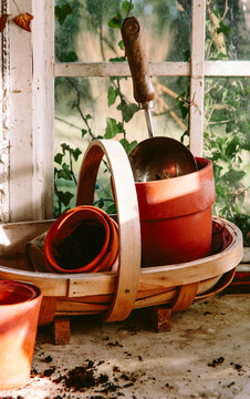 Seed sowing in glasshouse