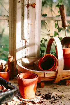Seed sowing in glasshouse