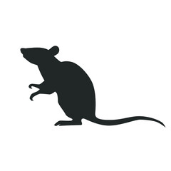 Rat isolated on white. Vector illustration.