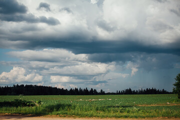 Obraz premium Picturesque landscape with field and forest before rail, Ruza district, Moscow region, Russia