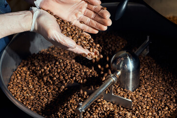 coffee roasting specialist