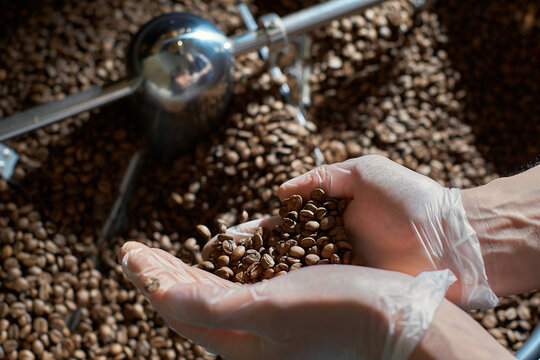 coffee roasting specialist