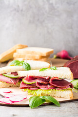 Fresh sandwiches with pastrami, cucumber and radish on a cutting board. American snack. Rustic style. Vertical view