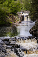 Low Force waterfall among the trees on the river Tees in the North Pennines, County Durham, England