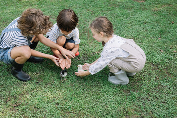 Kids Petting Chicks At Farm