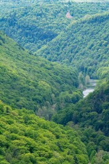 Fototapeta premium Pine Creek Gorge Hillsides