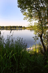 Beautiful summer sunny landscape with a calm river, trees and wooded banks on the other side. Blue sky and reflection in the water. No people