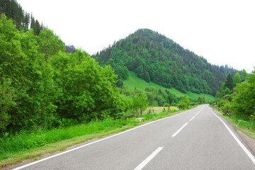 Fototapeta premium empty road in beautiful summer forest landscape with hills.