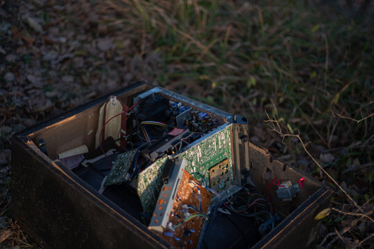 Electric boards left in the woods