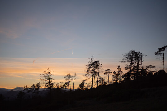 Silhouette landscape in a winter sunset