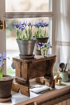 Home decor with Iris pots and flower bouquet