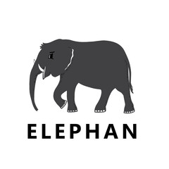 Obraz na płótnie Canvas Graphic grey elephant silhouette animal