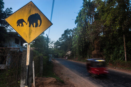 road sign, elephants crossing the street