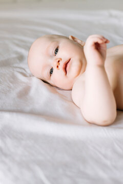 Five month old baby portrait