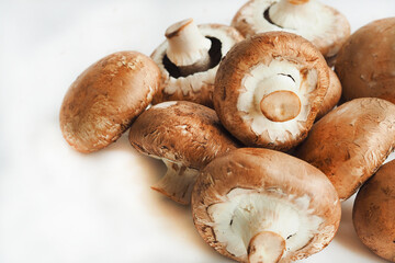 Edible mushrooms, champignons on a white background. High quality photo
