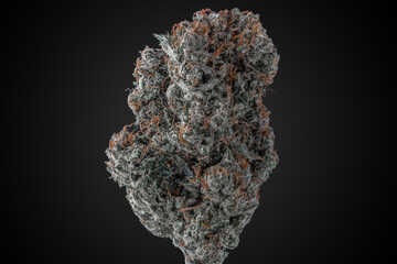 Cannabis Flower Macro - Strain: Blue City Diesel