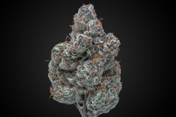 Cannabis Flower Macro - Strain: Chocolate Grape Diesel