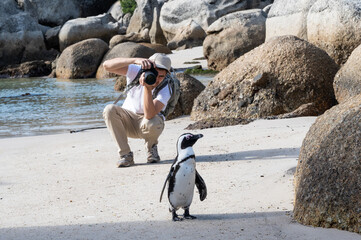 Young photographer taking photos of penguin © ilyaska