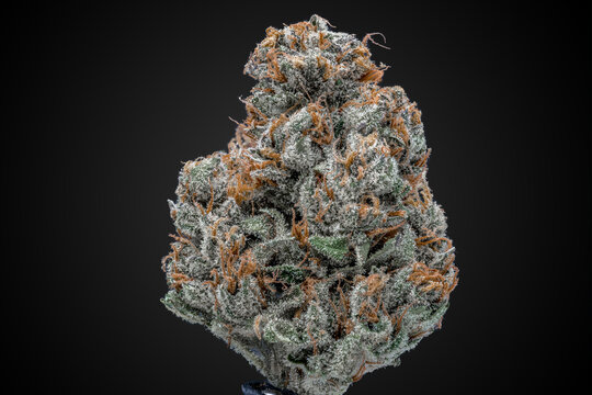 Cannabis Flower Macro - Strain: Mango