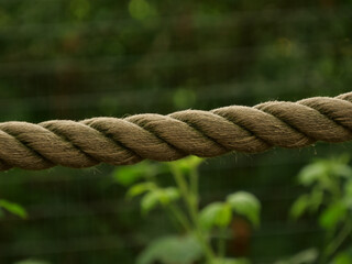 Closeup shot of a thick rope