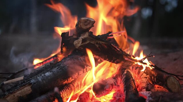 4k Bonfire burning down in the forest autumn, flame sticks and coals in fire close up on sand beach in the evening night.
