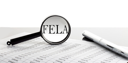 Magnifying glass with text FELA on the background with pen