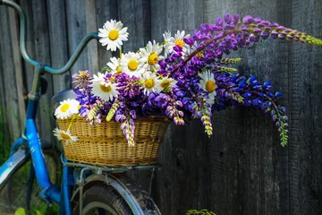Foto auf Acrylglas Fahrrad bouquet of wild flowers in a basket and on a bicycle