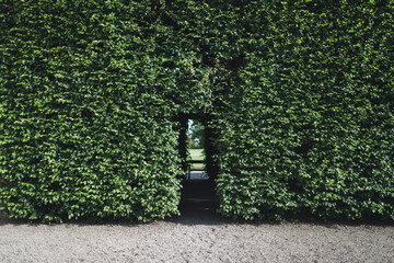 door in the hedge