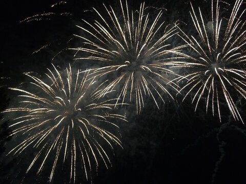 
Fireworks In The Sky