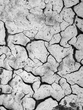 Cracked dry sediment background