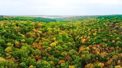Fototapeta na wymiar autumn landscape with colorful forest. aerial view. beautiful landscape.