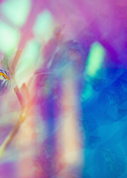 Holographic flower still life