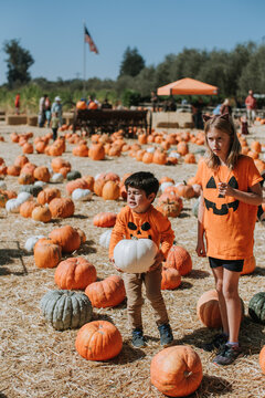 Children at Pumpkin Patch Selecting Pumpkins