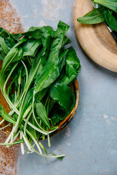Wild garlic leaves