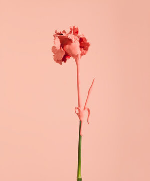 Naklejki pink flower