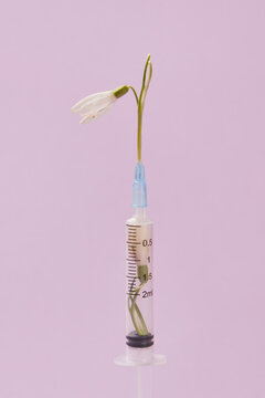 Snowdrop and syringe with vaccine