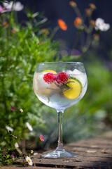 Gin and toinic drink in the garden on summer day
