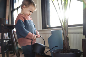 Little boy watering a plant with a black watering can