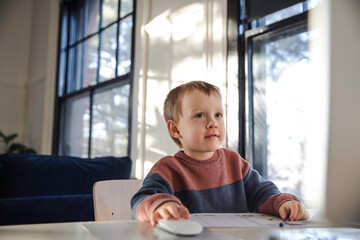 Little boy using desktop computer at home