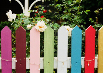 Colorful garden fence