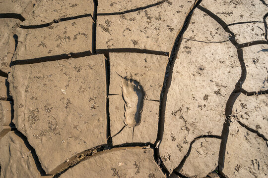 Mud
