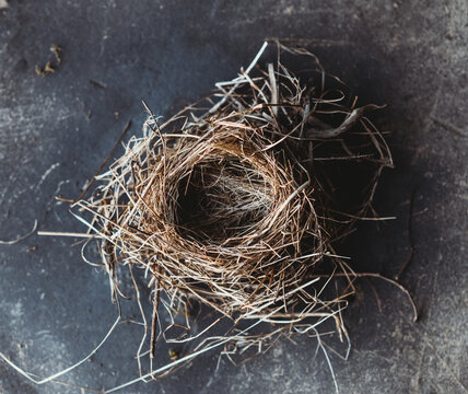 Empty nest