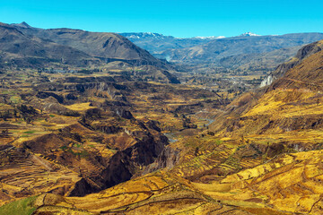 Colca Canyon landscape in summer with agriculture terraces and Colca river, Arequipa, Peru.