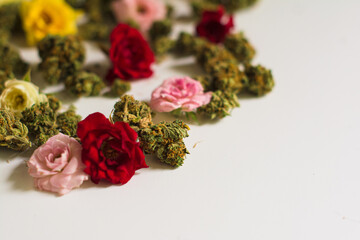 Beautiful colorful flowers and cannabis buds