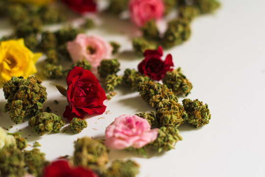 Close up of cannabis buds and colorful flowers