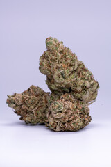 Cannabis Flower Macro - Strain: Duct Tape