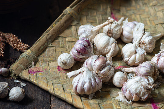 Medicinal Garlic grown in hills