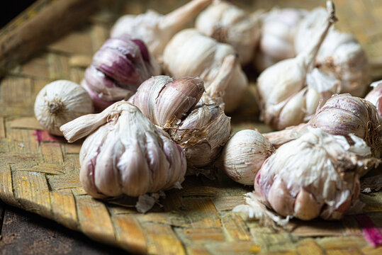 Medicinal Garlic grown in hills