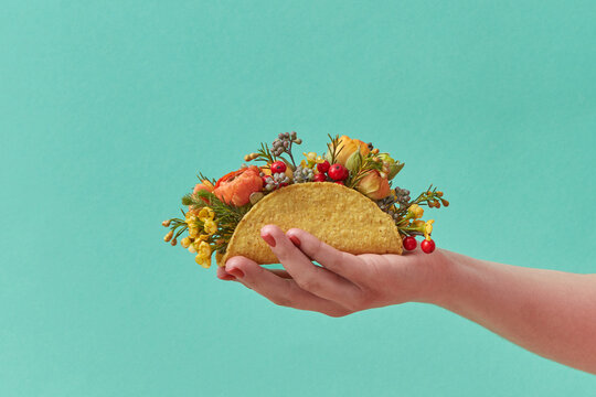 Female Hand Holding Taco With Flowers