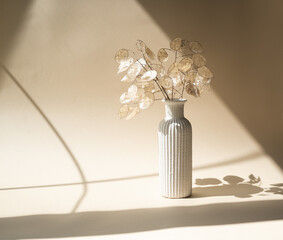 Bouquet of dried lunaria in ceramic vase on beige studio background